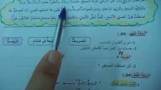 السنة الثانية ابتدائى حل اختباراللغة العربية نمودج 4 الفصل الثاني الجيل الثانى