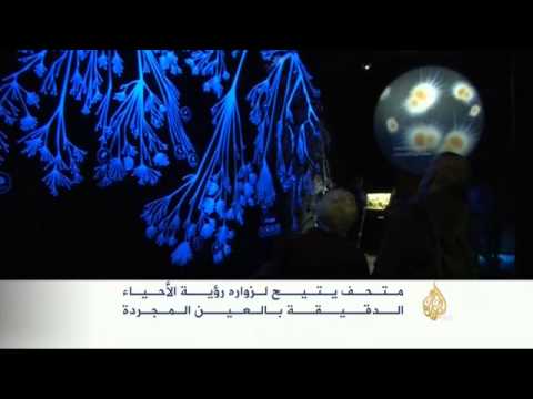 متحف للميكروبات والكائنات الحية الدقيقة بأمستردام