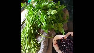 Medical Medium Finding your Purpose Stabilizer