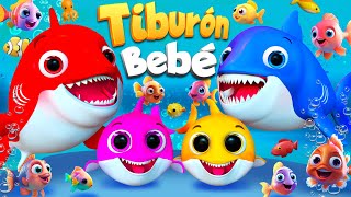 Bebé Tiburón  y Dino 🦖🦈🦕| Viajes Jurasicos | Canciones para bebés | Rimas infantiles #babyshark