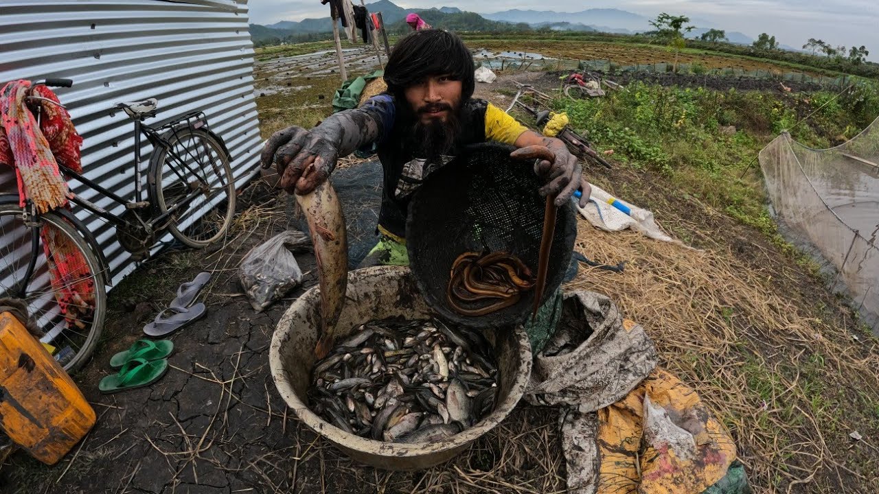 Hunting Cat fish and Eel fish