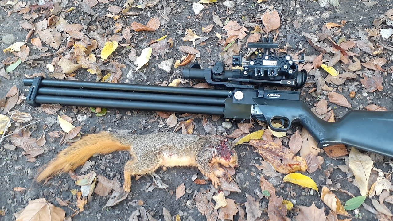 Squirrel Hunting with Broken PCP Airgun - 25cal Air Venturi Avenger