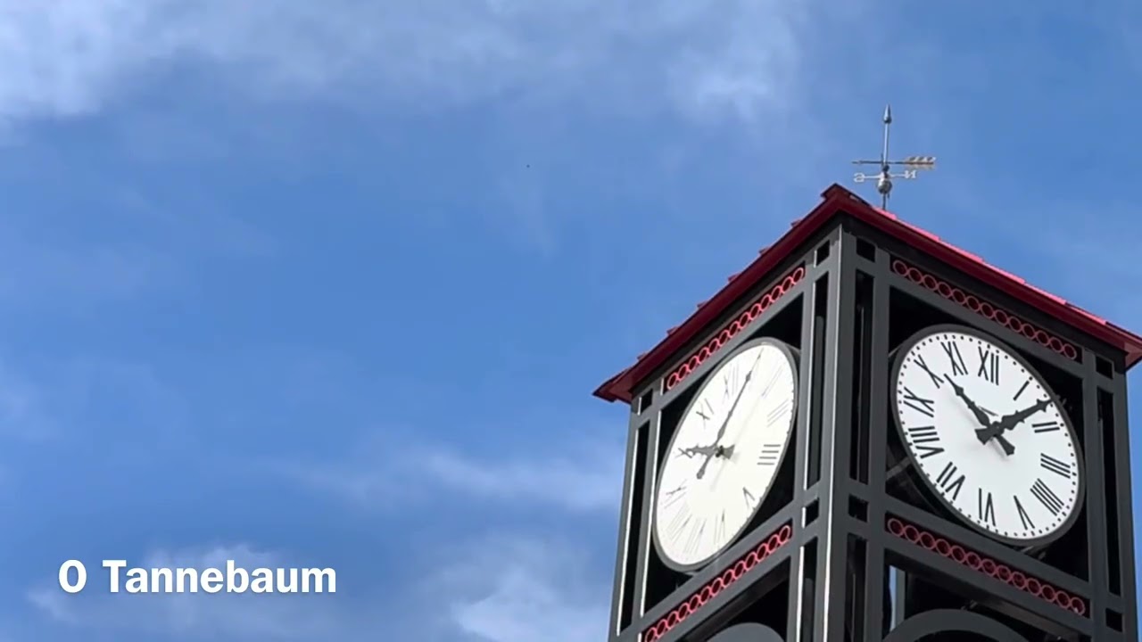 Verdin Carillon Music for 