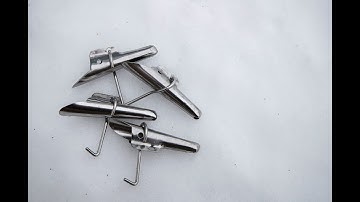 Maple Tree Tapping in St. John