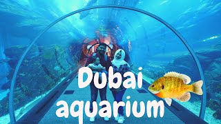 Riyadh to dubai part 3 - regency club lounge, aquarium & underwater
zoo