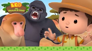BEST OF LEO THE WILDLIFE RANGER 🦍 1 HOUR EPISODE | Leo the Wildlife Ranger | Kids Cartoons