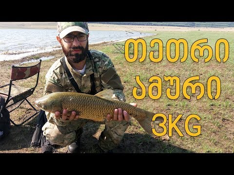 თევზაობა ნადარბაზევის ტბაზე