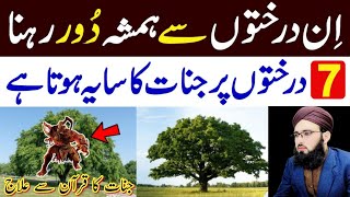 7 Darakhton Par Jinnat Ka Saya Hota Hai Khabees Jinn Kin Pedon Par Rehte Hain? Allama Abdul Rauf