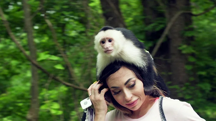 Meet 'Monkey Mom,' who is raising two monkeys as i...