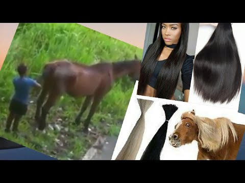Woman Cuts Her New Weave Off Horse S Tail Right From The