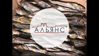 Бычки вяленые Бычки вяленые