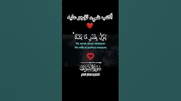 {وَلَوْ بَسَطَ اللَّهُ الرِّزْقَ لِعِبَادِهِ} | سورة الشورى :آية 27 #القرآن_الكريم#اكسبلور #السعودية