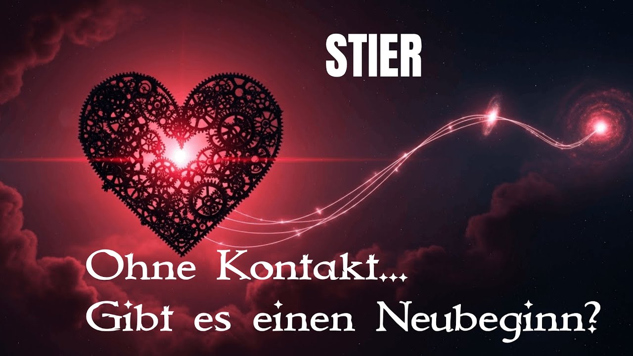 Stier❣️Kein Kontakt und nun?