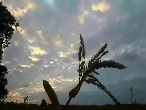 Fernando Carulli - Concerto in E minor, Op 140 Allegro Guitar & Orchestra