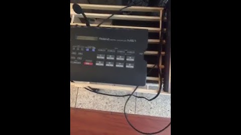 Roland ms 1 and Roland sp 404sx