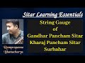 Sitar  surbahar string gauge  sitar lessons tutorial  ramprapanna bhattacharya