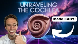 Hearing Physiology SIMPLIFIED: How We Hear Sound (Cochlea, Hair Cells, Pitch)