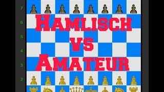 14.Short Chess Game Checkmate In 7 Moves 