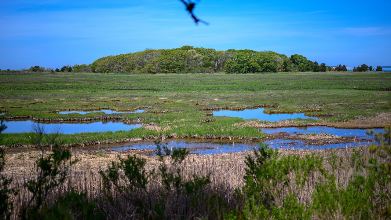 Mass Audubon Wellfleet Bay Wildlife Sanctuary - Places to visit on Cape Cod