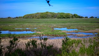 Mass Audubon Wellfleet Bay Wildlife Sanctuary - Places to visit on Cape Cod