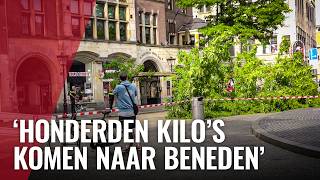 Thumbnail for Boom omgevallen op de Dam