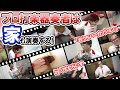【おうちパーカッション】プロ打楽器奏者は家まるごと演奏できる