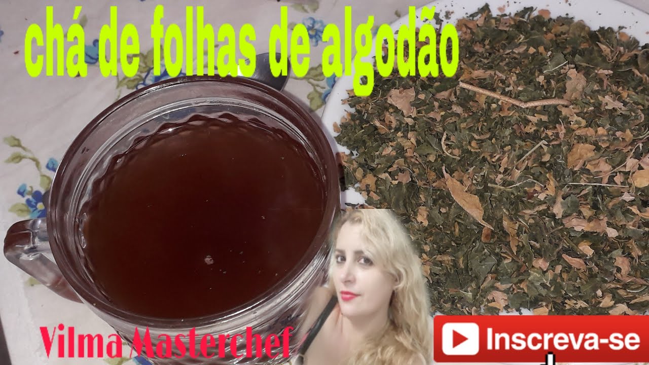 chá da Folha do Algodão para quê serve? e anti-inflamatório? # ...