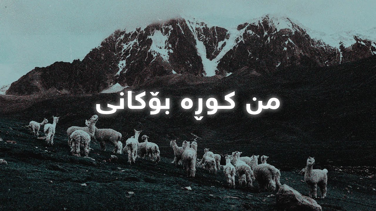 Hasan Ziyafati - Mn Kura Bokani (Lyrics) | حەسەن زیافەتی - من کوڕە بۆکانی