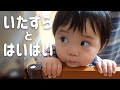 【生後12ヶ月】いたずら「ぽ~い」と高速ハイハイ (12 months. Fast fast crawling / Throwing away coasters)