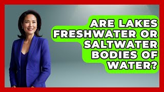 Are Lakes Freshwater or Saltwater Bodies of Water? | Water Science For Everyone News