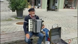 Street Accordion Player in a small town, Mindelheim,  in Bavaria, Germany-1