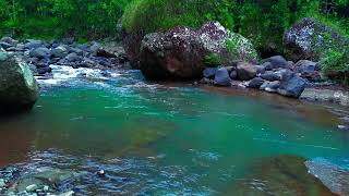 Echoes of River  – Drift into Nature’s Embrace | sleep - relax - enjoy life - ASMR