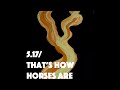 Thom Yorke – 5.17 / That&#39;s How Horses Are