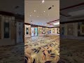 BANQUET CARPET