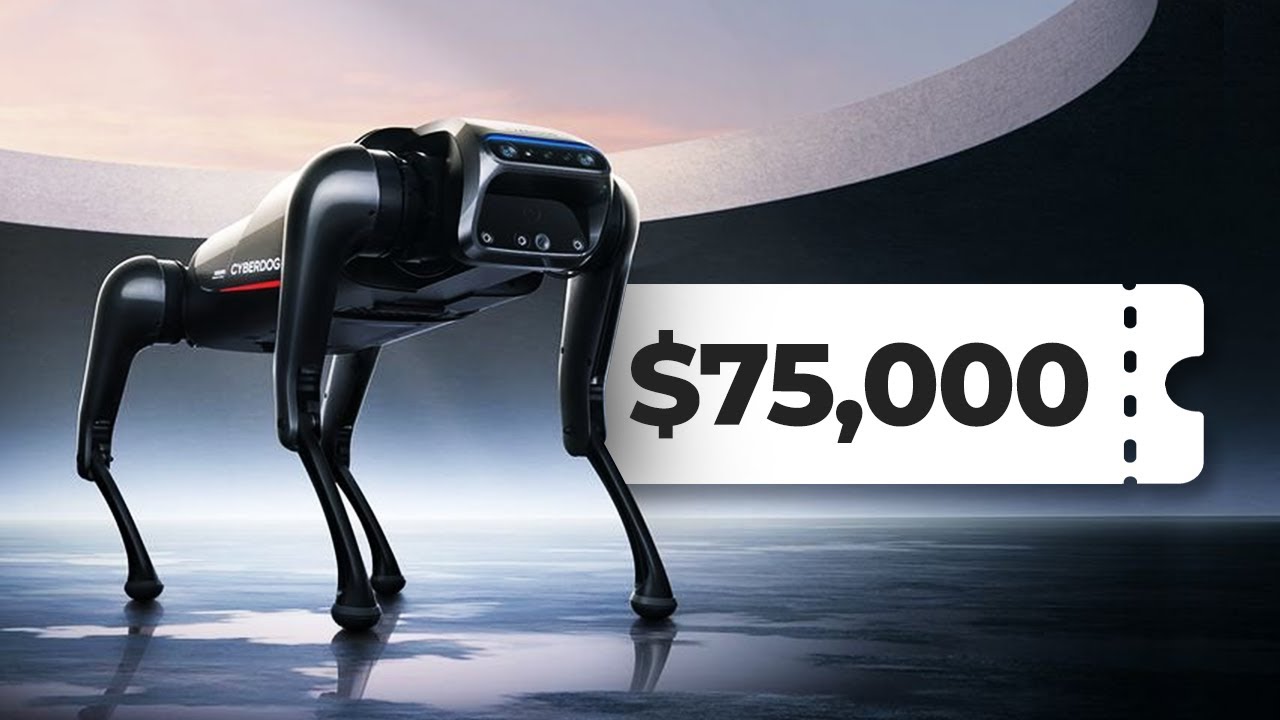 The $75,000 Cyber Dog - YouTube