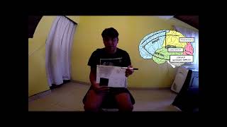 Neuro Cognicion Endogenaexplcito