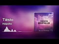 Tiësto Hoipolloi Extended Mix mp3