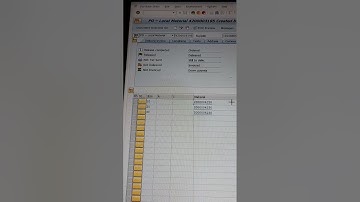 How to copy Value or Text in SAP?