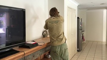 Carpet Python Behind TV || ViralHog