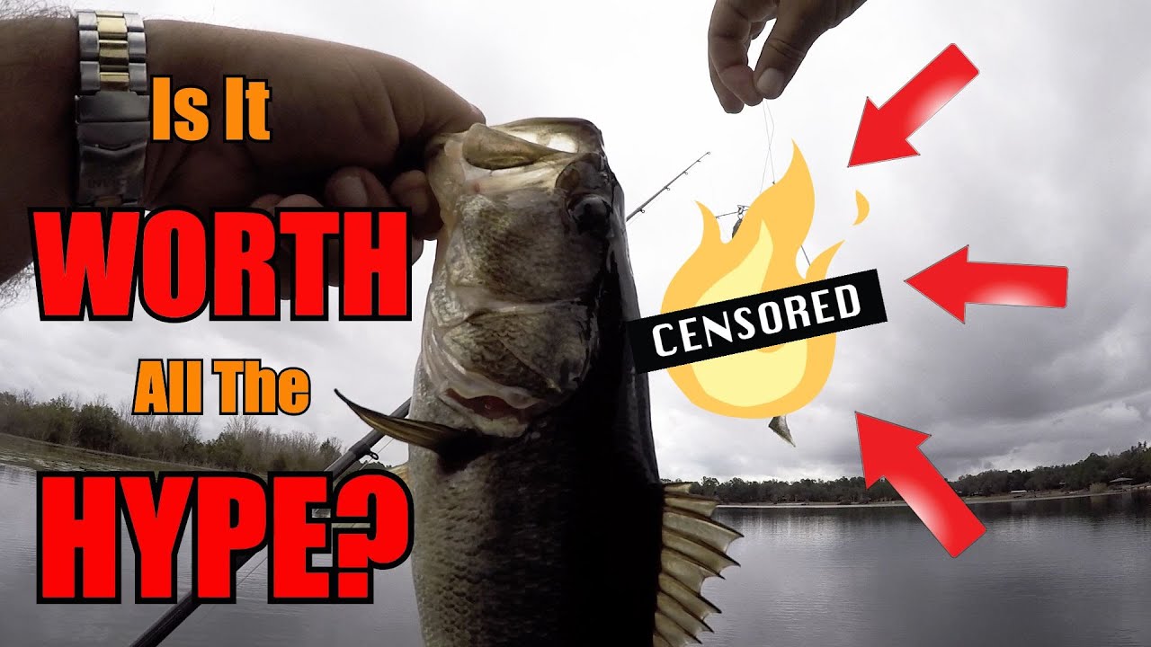 The BEST New BASS LURE on the Market?!? LIVETARGET Baitball