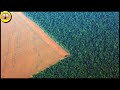 Descobertas Na Amazônia Que Você Não Deveria Ver