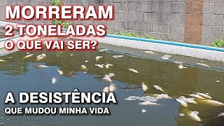 SERÁ QUE JÁ DA PRA ADIVINHAR O QUE ELES ESTÃO FAZENDO AQUI?? canal saalada