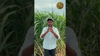 Rythu Mithra Agri Show 2026 Hyderabad #agriculture #farming #techfarming