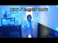 GARNET CROW / JUDY【うたスキ動画】