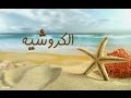 فن الكروشيه الكروشيه عمل يدوى فنى راقى