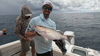 New spots produce new PB Mang for 4 anglers plus gag and mahi.