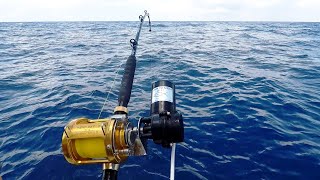 FISH WINCH® 2.0 - Electric Fishing Reel Drive (fits 220+ Penn, Shimano,  Daiwa, Avet & other reels) 