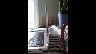 Store Time With Lillie B