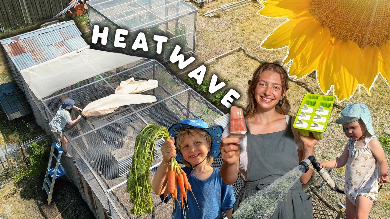 How we’re Surviving the HEATWAVES | Ice Cream, Chickens & Garden Lessons