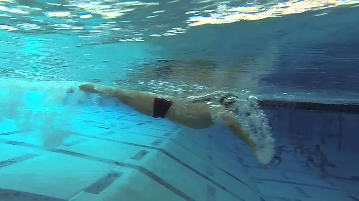 Wilfred Morris   Buttferfly underwater   9:24:13